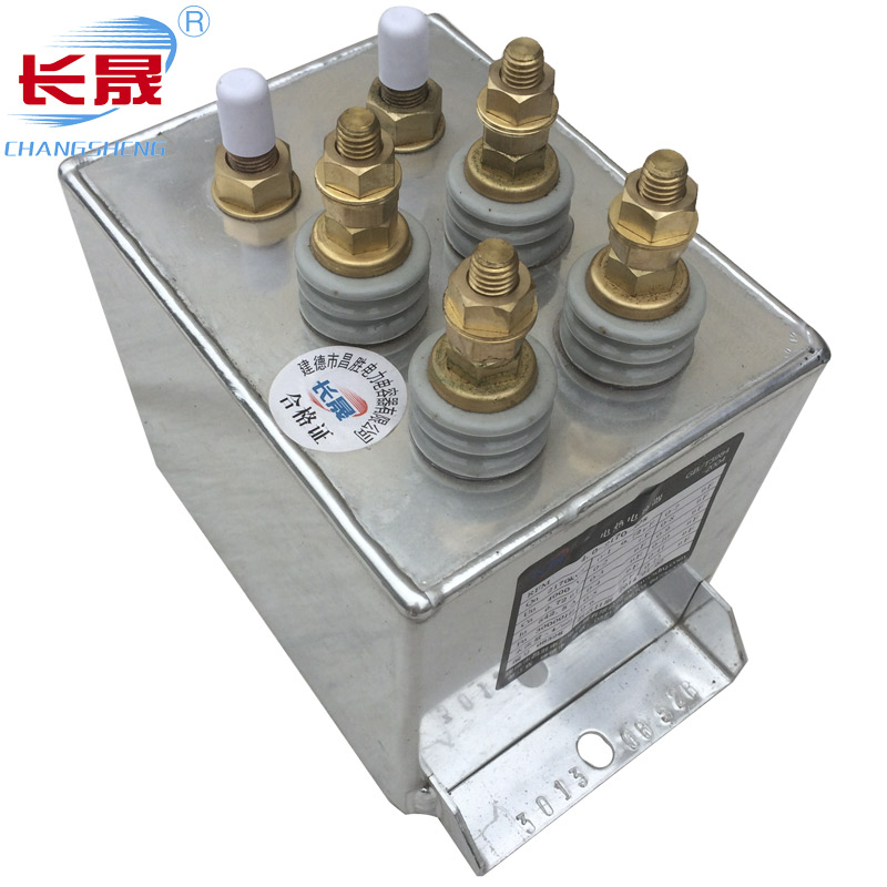 RFM型水蜜桃视频网站在线观看WWW电容器RFM2.6-978-16S