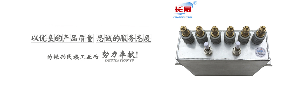 国产水蜜桃视频在线电容器